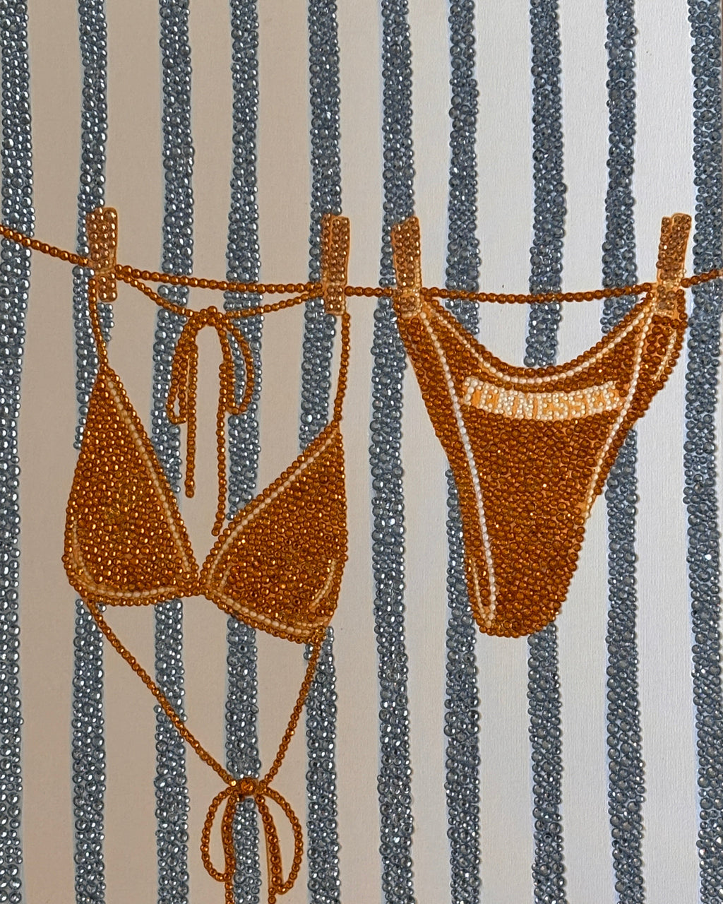 TN Bikini