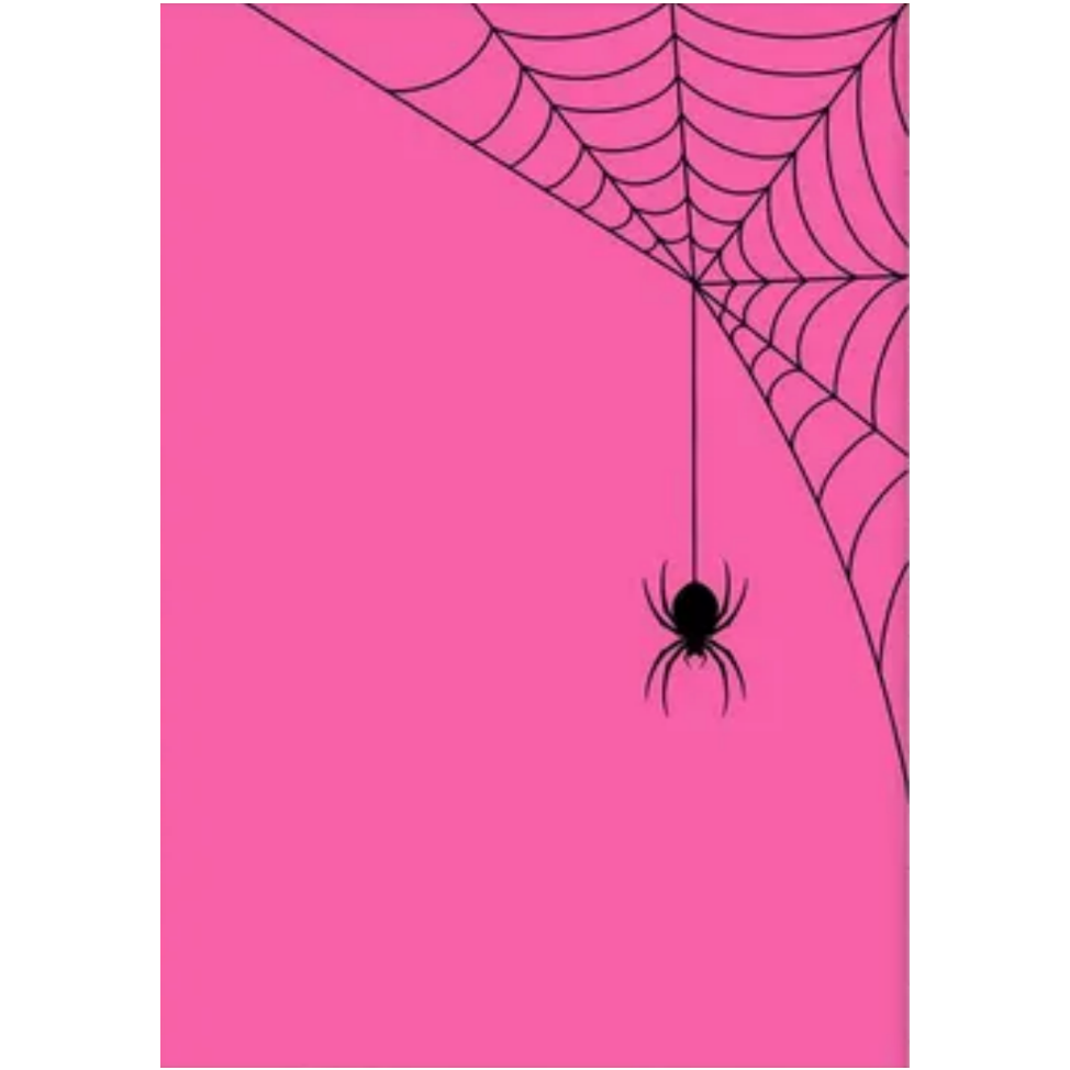 Halloween Spider Web